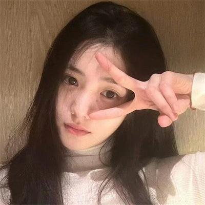 企鹅:极地追踪